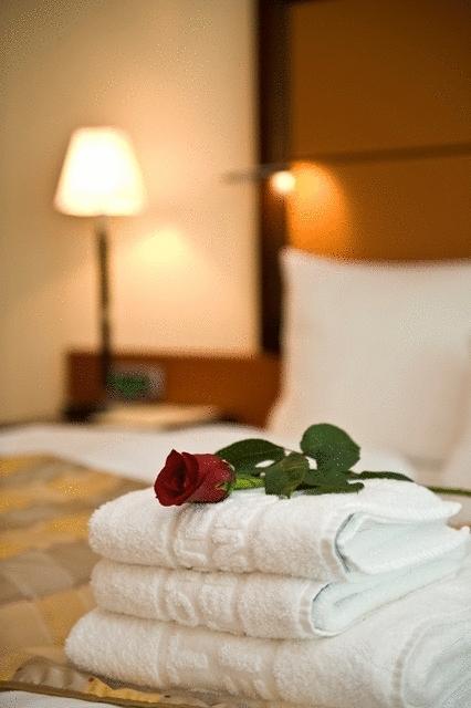 Aparthotel Premier Podgorica Phòng bức ảnh